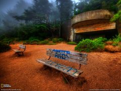 Tapeta National Geographic 356.jpg